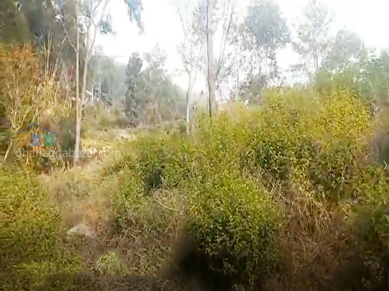 Land on Sale at Narayanthan Height